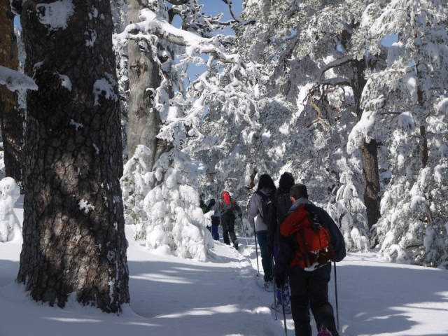 raquetas de nieve5.jpg